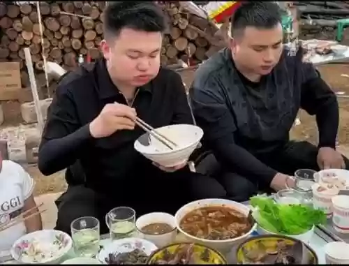 美食達摩陣容